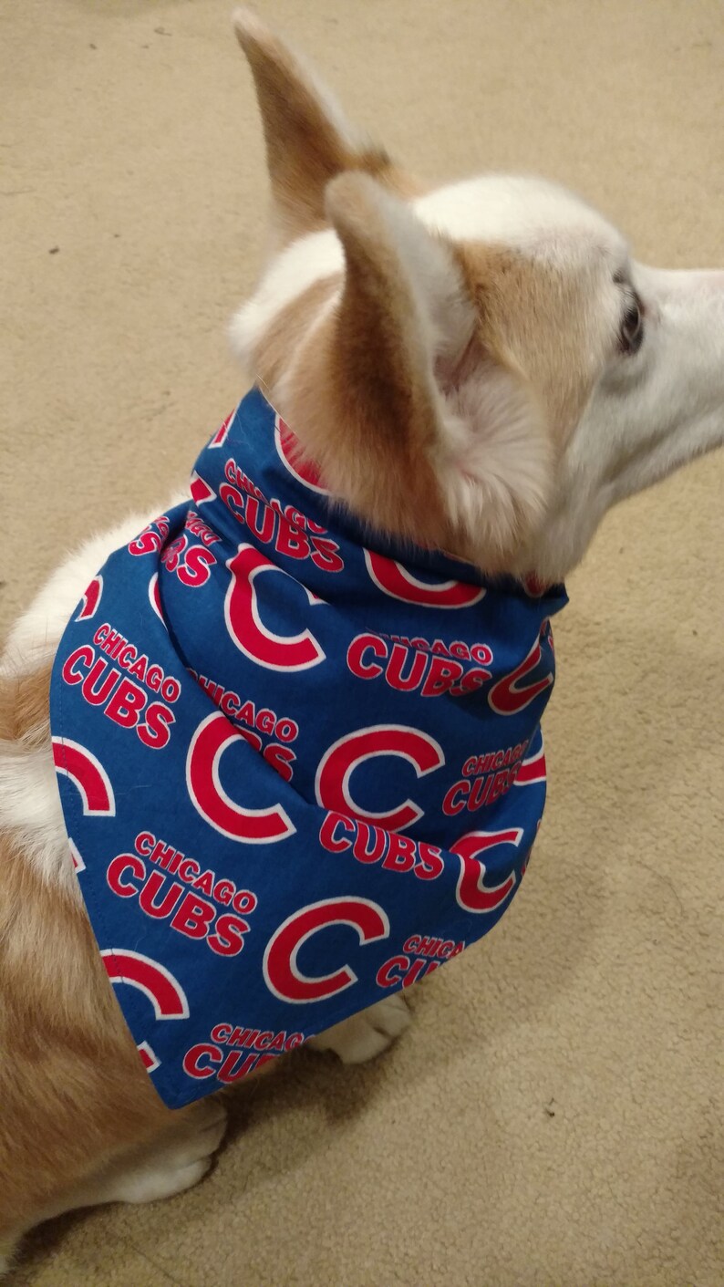 cubs dog scarf
