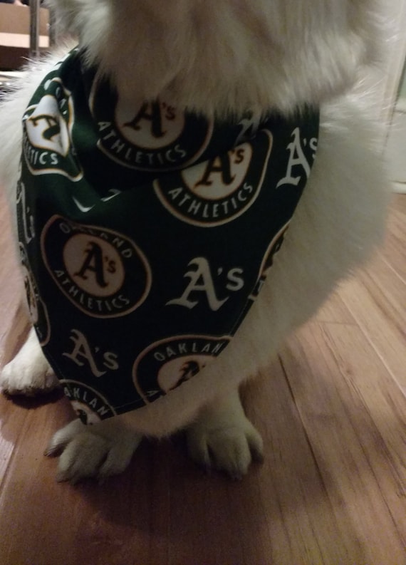 oakland a's dog jersey