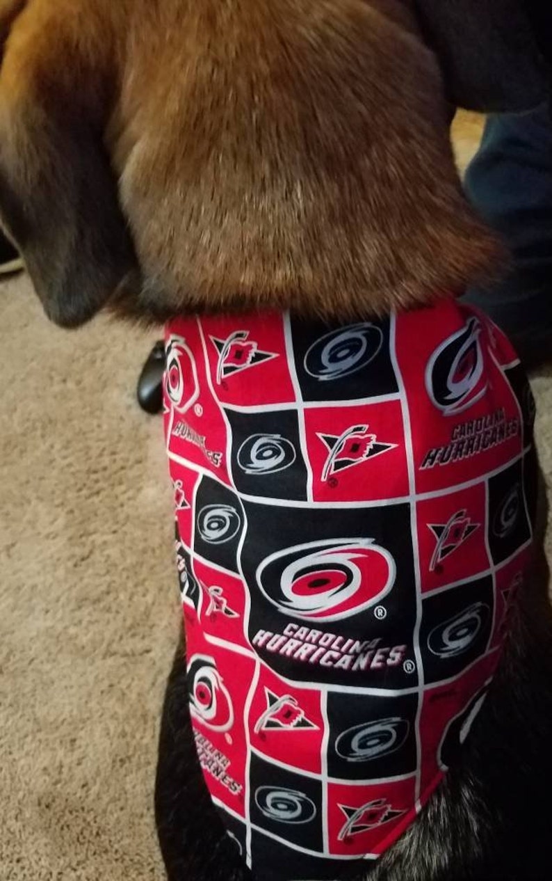 carolina hurricanes dog jersey