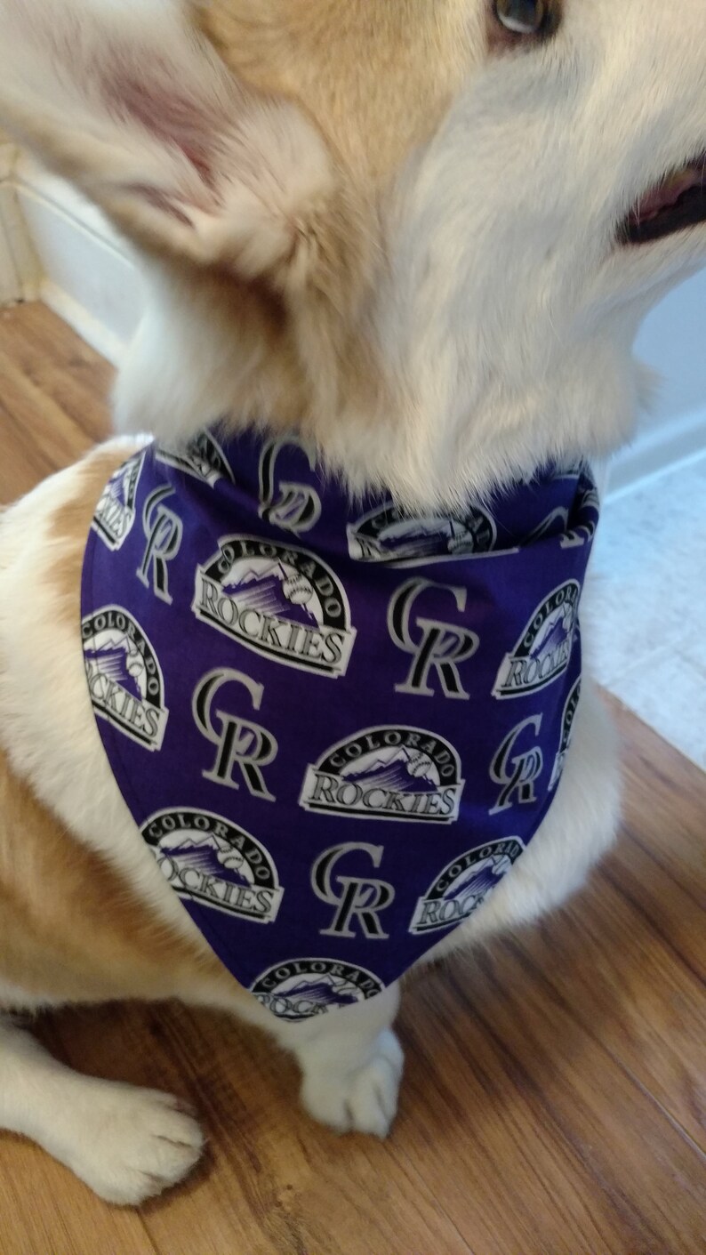 colorado rockies dog jersey