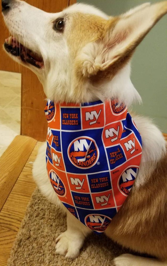 new york islanders dog jersey