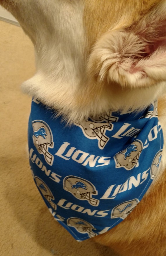 detroit lions dog jersey