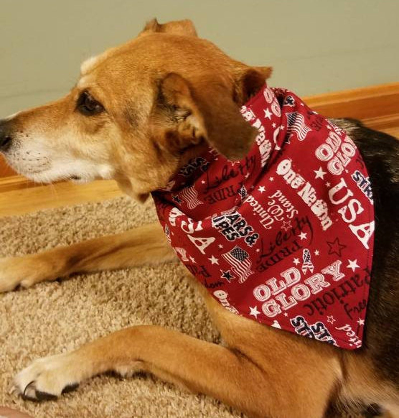 Old Glory Patriotic Pet Bandanas Traditional Tieon Bandanas Etsy