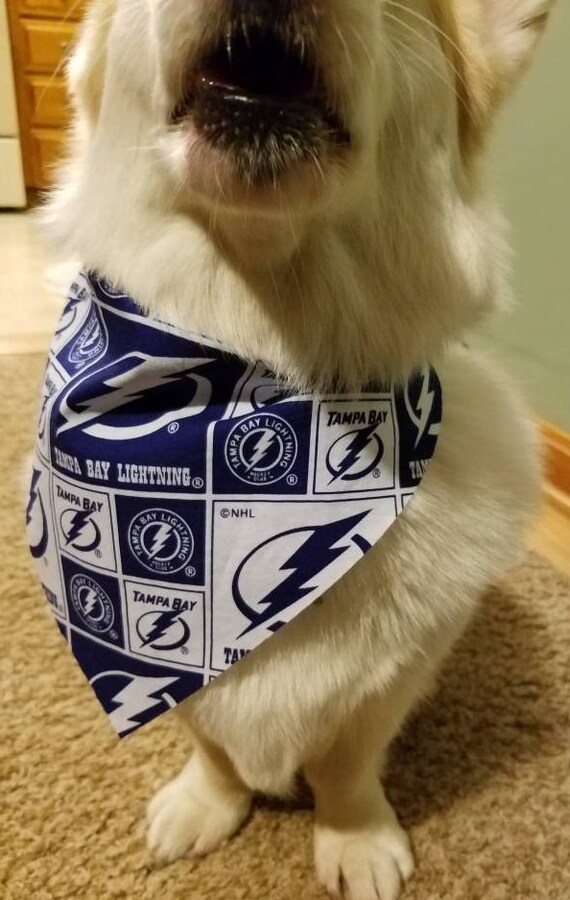 tampa bay lightning dog jersey