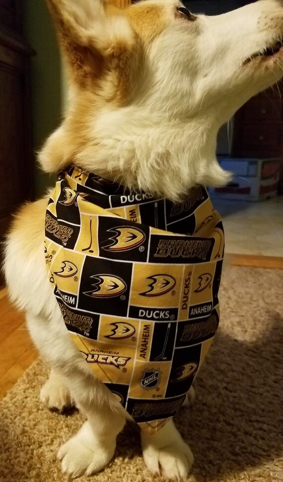 anaheim ducks dog jersey