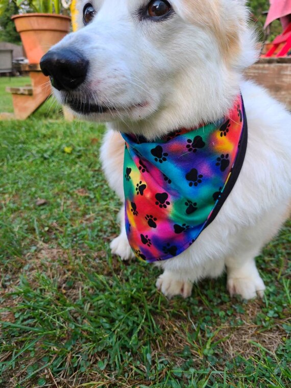 Rainbow Tie-dye with Black Pawprints, Traditional Tie-on Bandana, Paw Prints Bandana