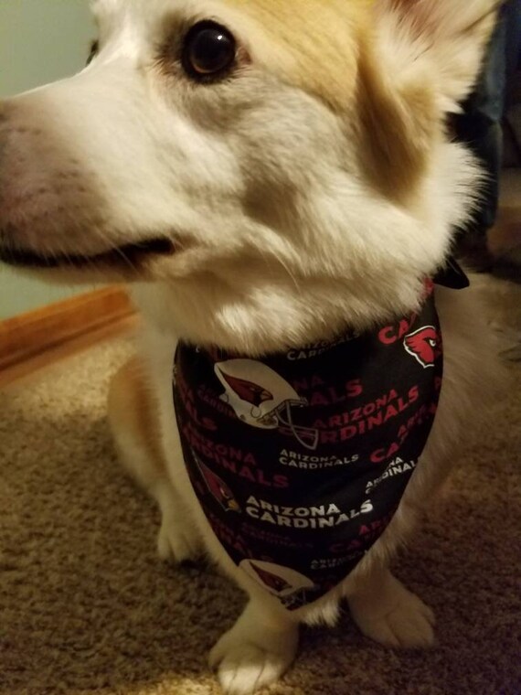 arizona cardinals dog jersey