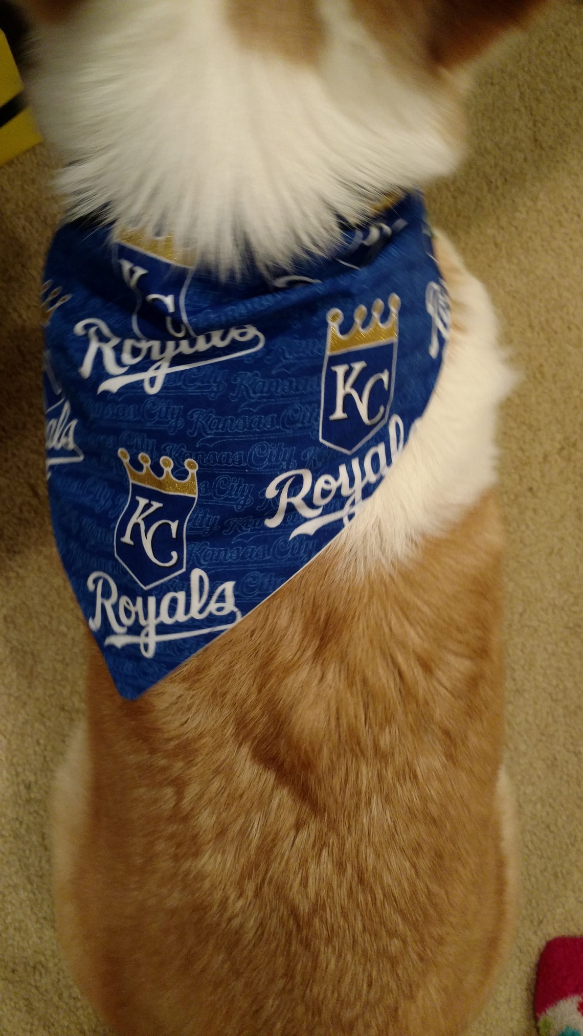 Kansas City Royals Baseball Pet Bandanas Traditional Tieon Etsy