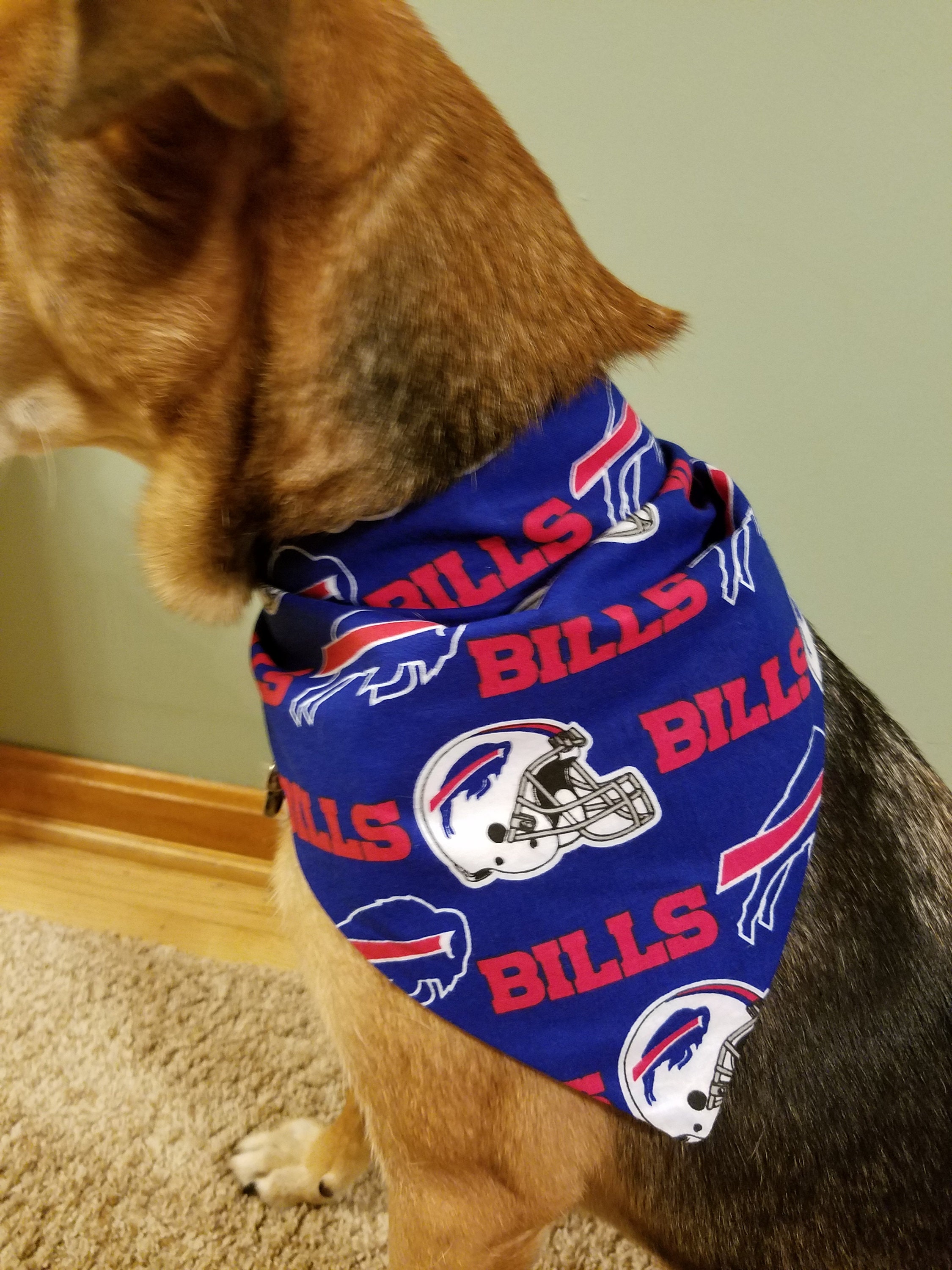 buffalo bills dog jersey