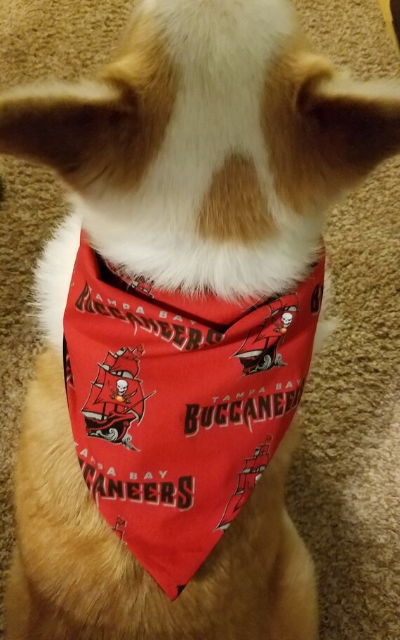 buccaneers dog jersey