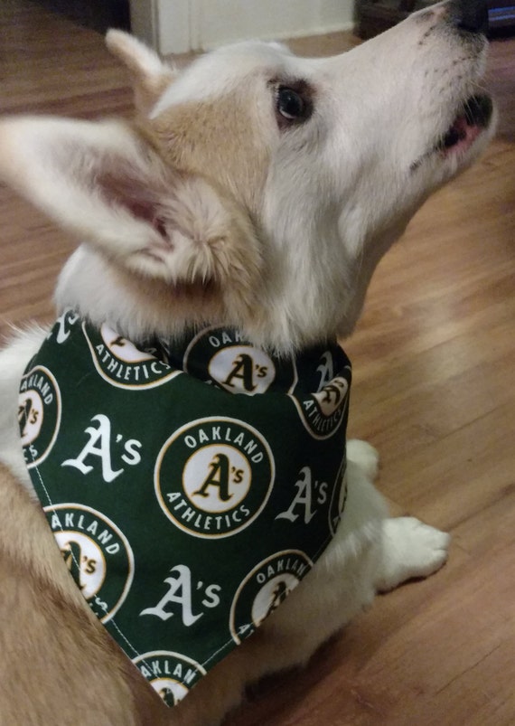 oakland a's dog jersey