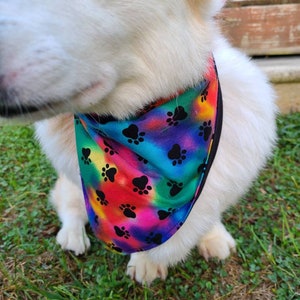 May include: A white dog wearing a colorful bandana with black paw prints. The bandana has a tie-dye pattern with shades of blue, green, red, and purple.