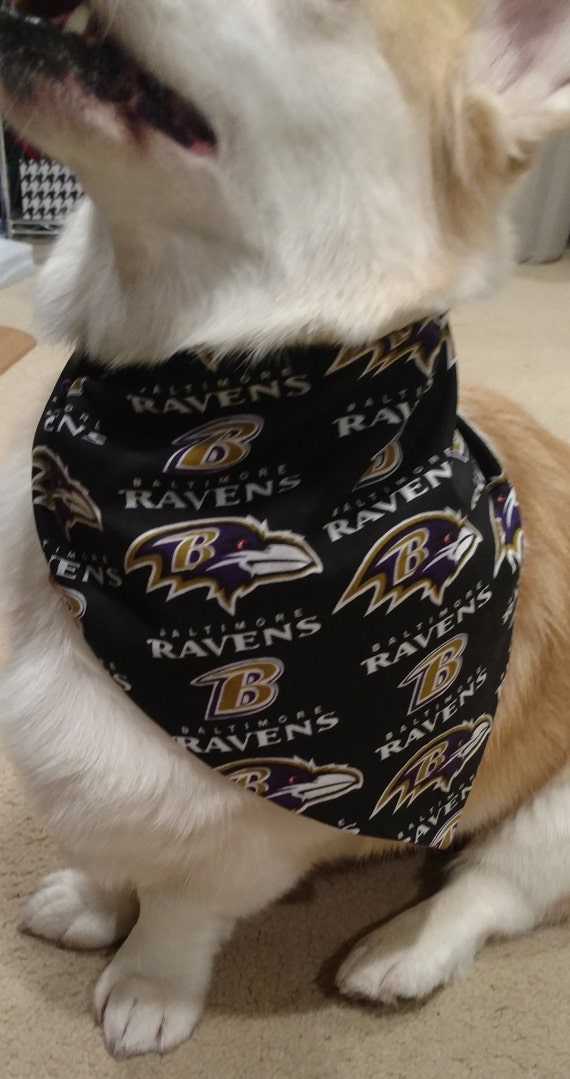 baltimore ravens dog jersey