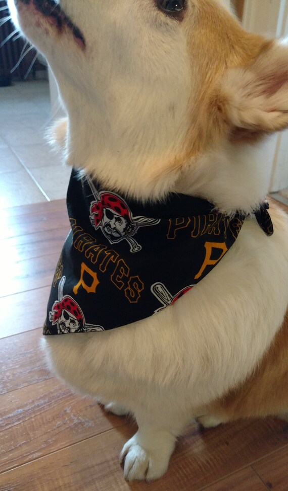 pittsburgh pirates dog jersey