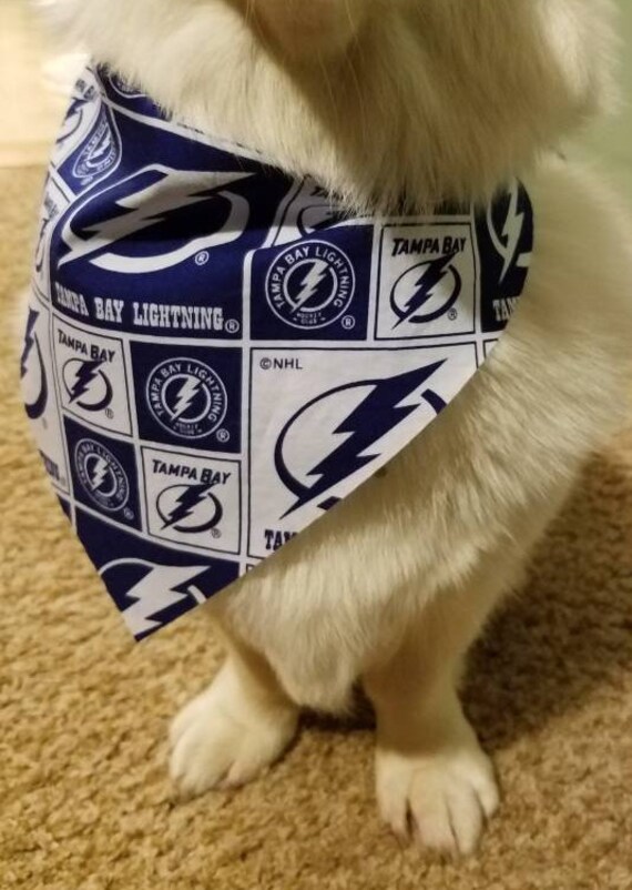tampa bay lightning dog jersey