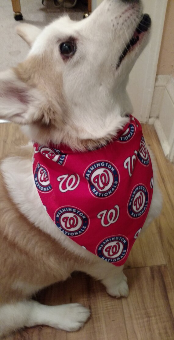 nationals dog jersey