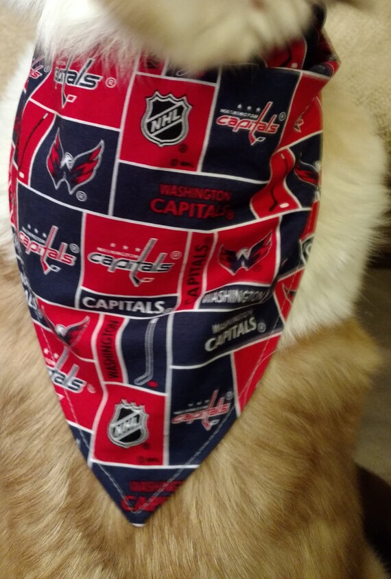 washington capitals dog bandana