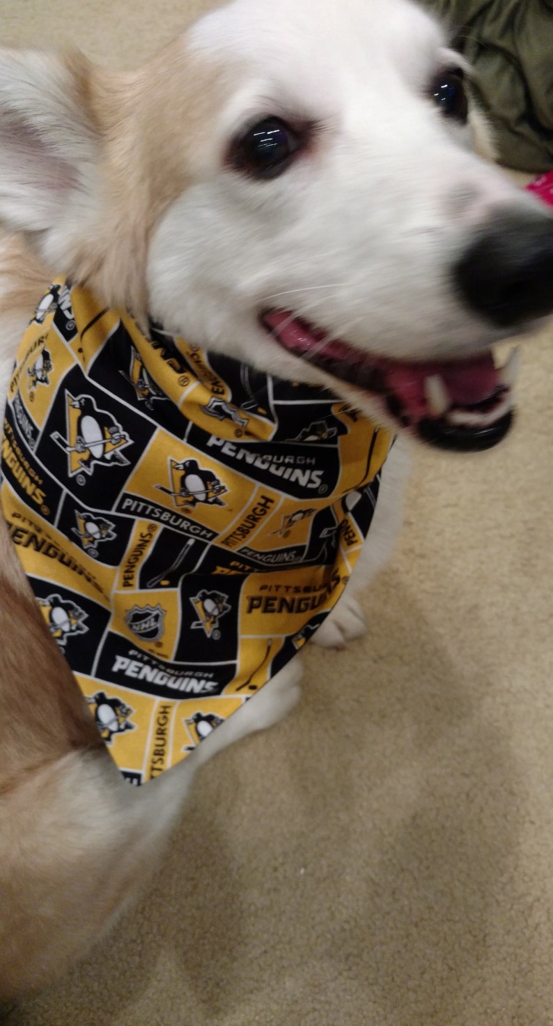 pittsburgh penguins dog jersey