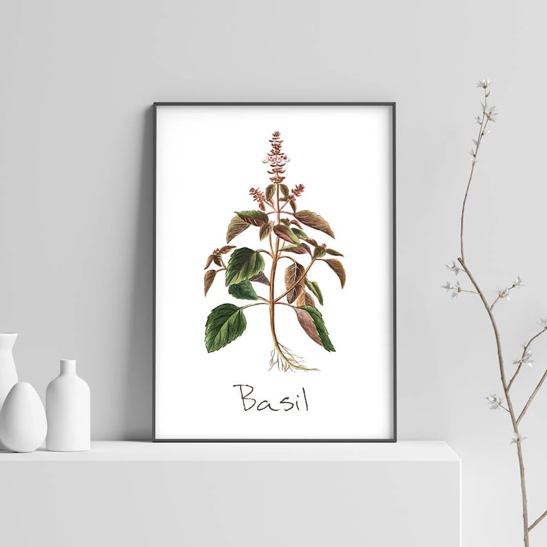Kitchen Herbs Kitchen Wall Art Kitchen Prints Set of 6 Etsy