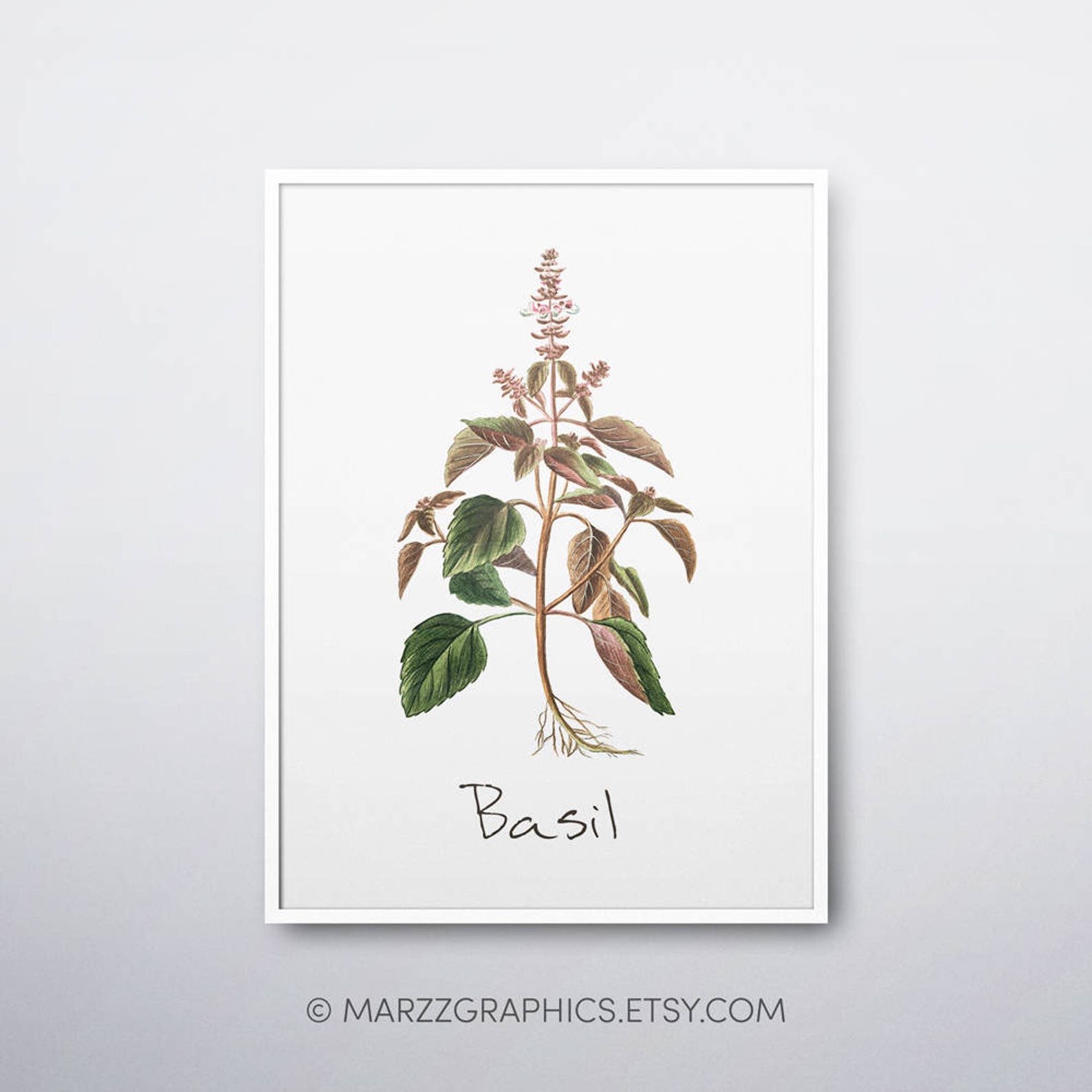 Basil Printable Basil Plant Basil Print Basil Wall Art | Etsy