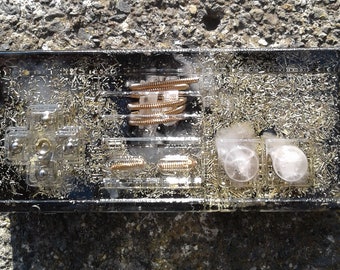 Nintendo Orgone Energy Controller