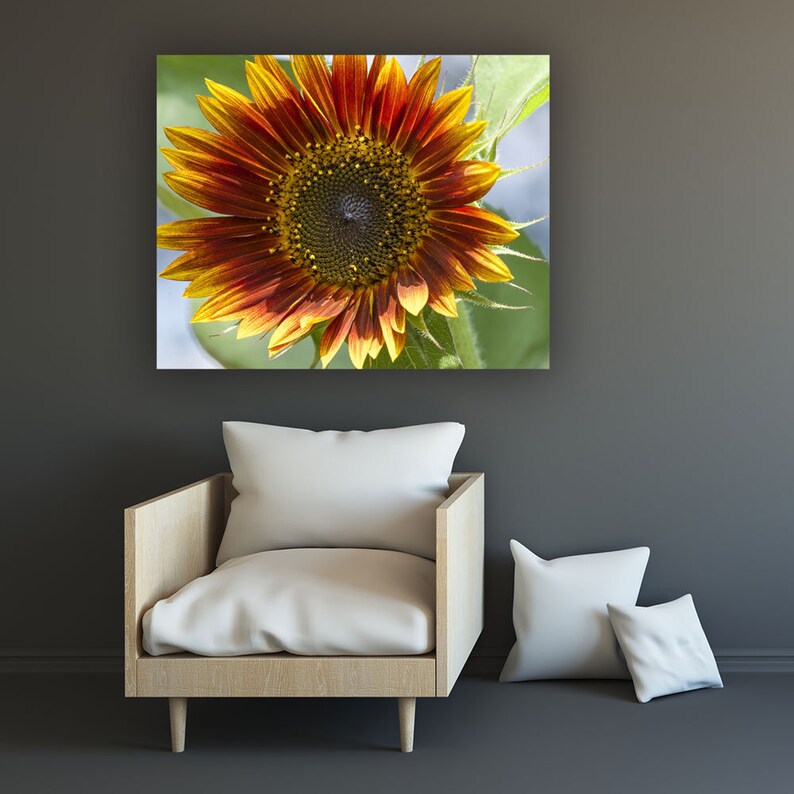 Sunflower Photography Print Sunflower Wall Art Sunflower Etsy