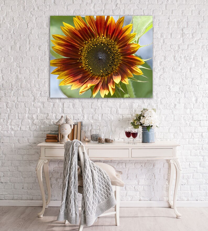 Sunflower Photography Print Sunflower Wall Art Sunflower Etsy