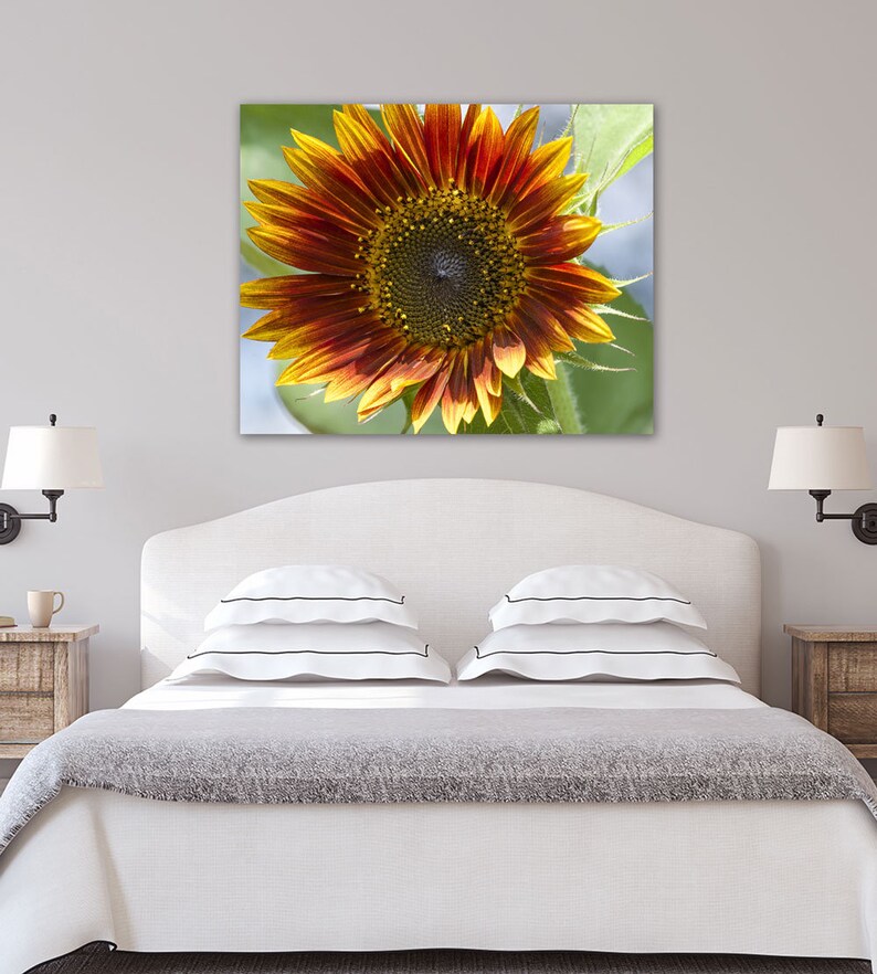 Sunflower Photography Print Sunflower Wall Art Sunflower Etsy