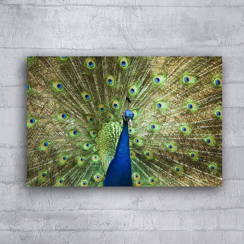 Metal Photography Prints Custom Metal Wall Art Aluminum Wall Etsy