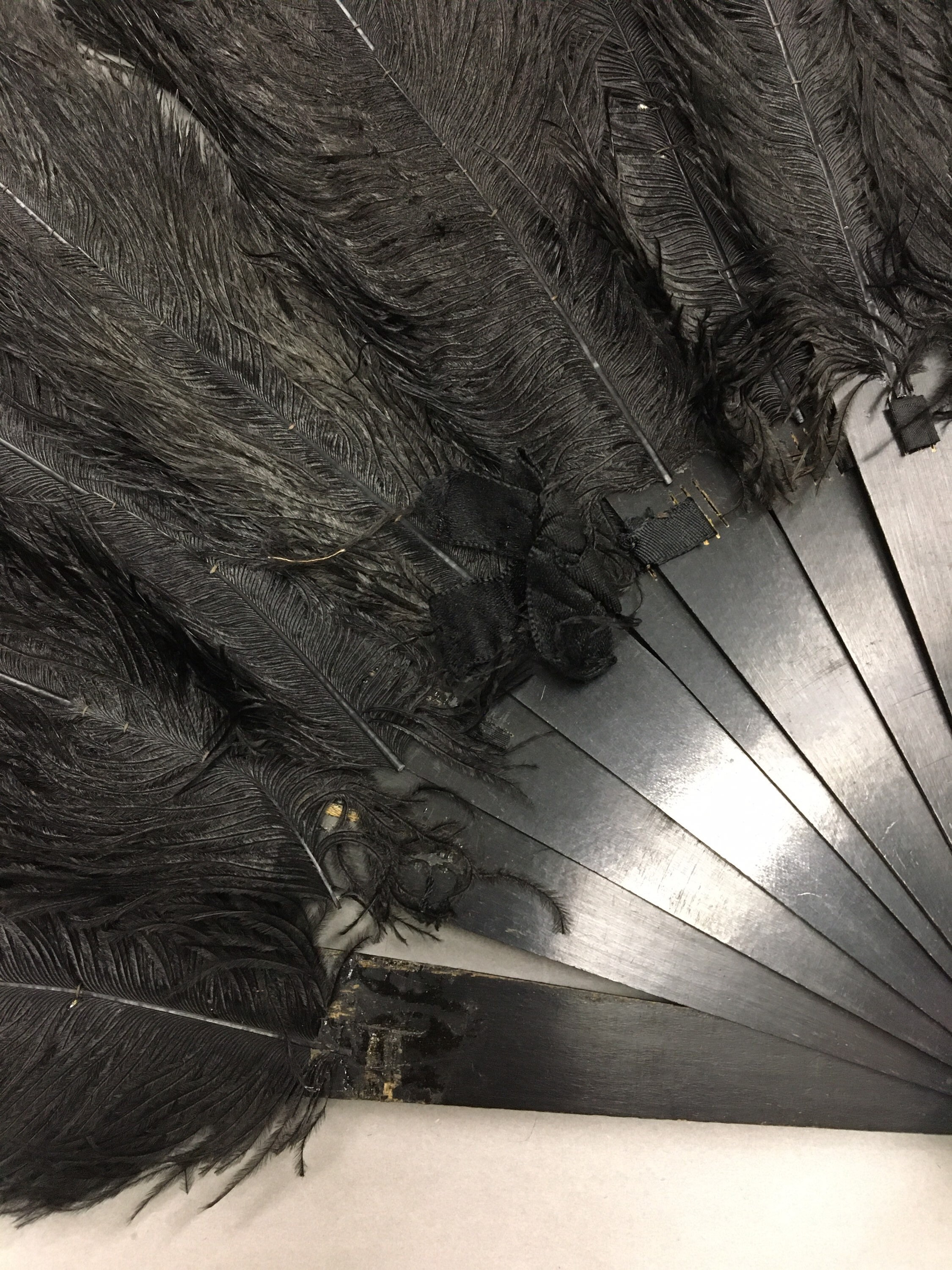 Fairwinds Cape Cod Pair of Antique Victorian Era Ostrich Feather Fans