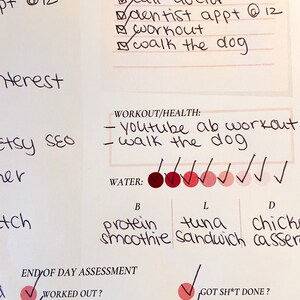 May include: A handwritten to-do list with checkboxes and a daily assessment checklist. The list includes items like "Blog post x1", "Call doctor", "Workout", and "Walk the dog". The assessment checklist includes items like "Worked out?" and "Drank 8+ cups of water?"