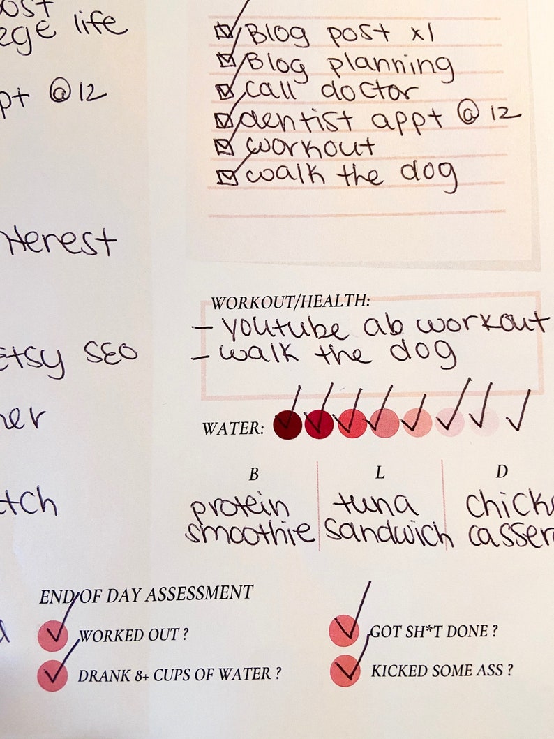 May include: A handwritten to-do list with checkboxes and a daily assessment checklist. The list includes items like "Blog post x1", "Call doctor", "Workout", and "Walk the dog". The assessment checklist includes items like "Worked out?" and "Drank 8+ cups of water?"