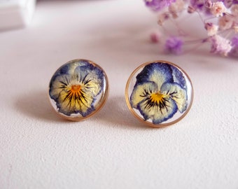 Pansy earrings, 15mm ear studs, Dried resin flower chips, gold filled jewelry.