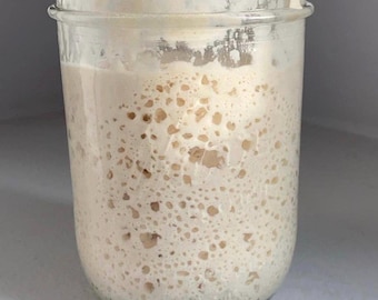 115yr old Organic Sourdough Starter fresh super active 1/4 cup Liquid never dehydrated ships in 1-2 days, Ready to use, Heirloom Quality
