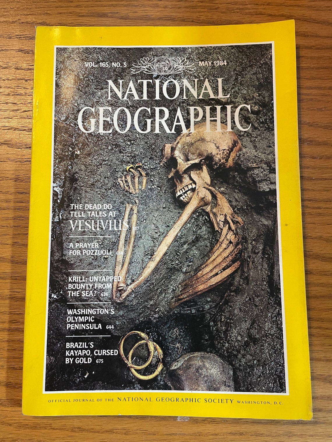 National Geographic 1984 Issues Volume 165 | Etsy