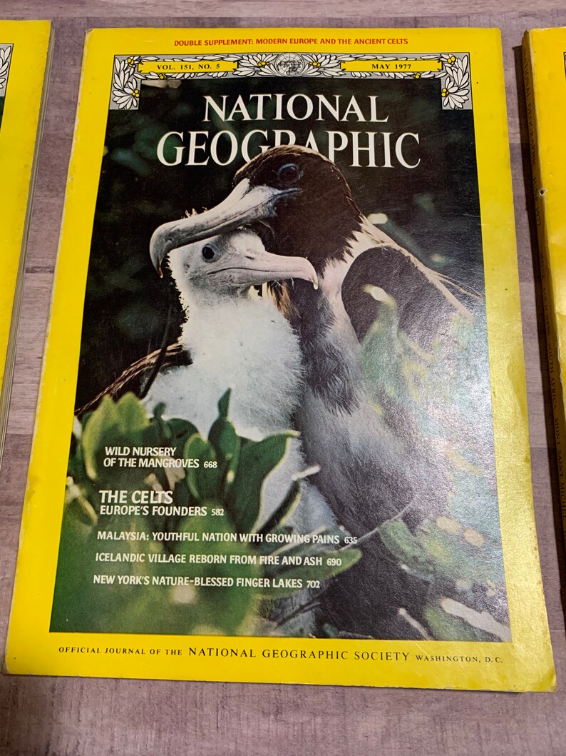 National Geographic 1977 Issues Etsy