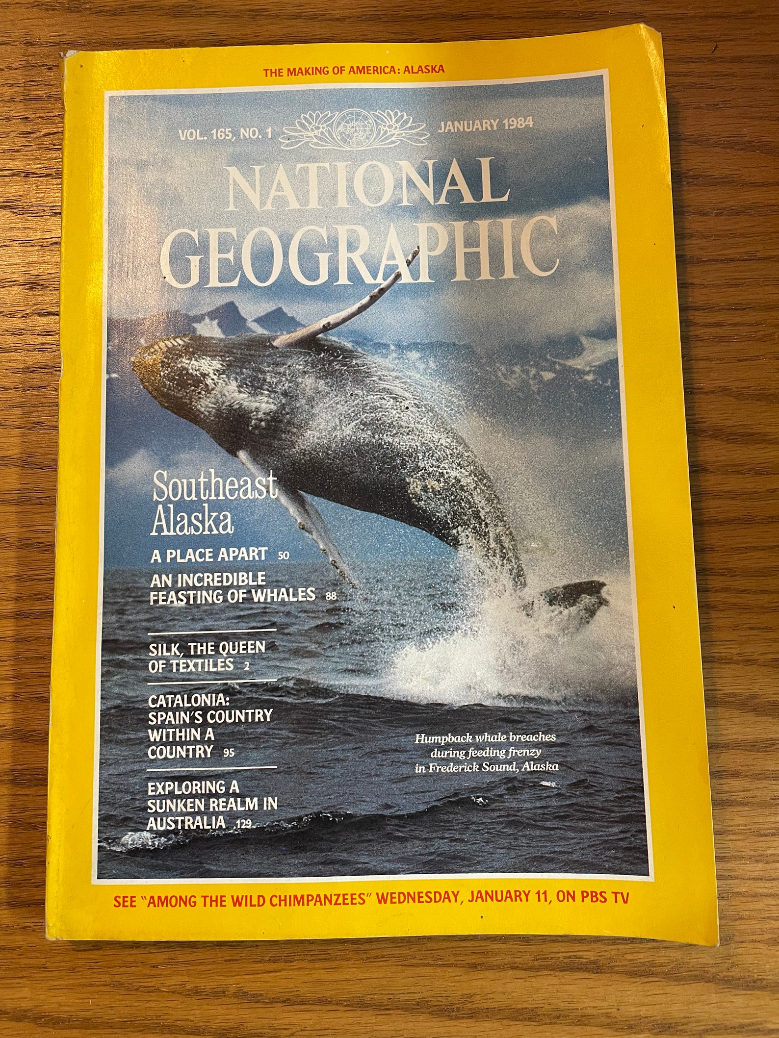 National Geographic 1984 Issues Volume 165 | Etsy