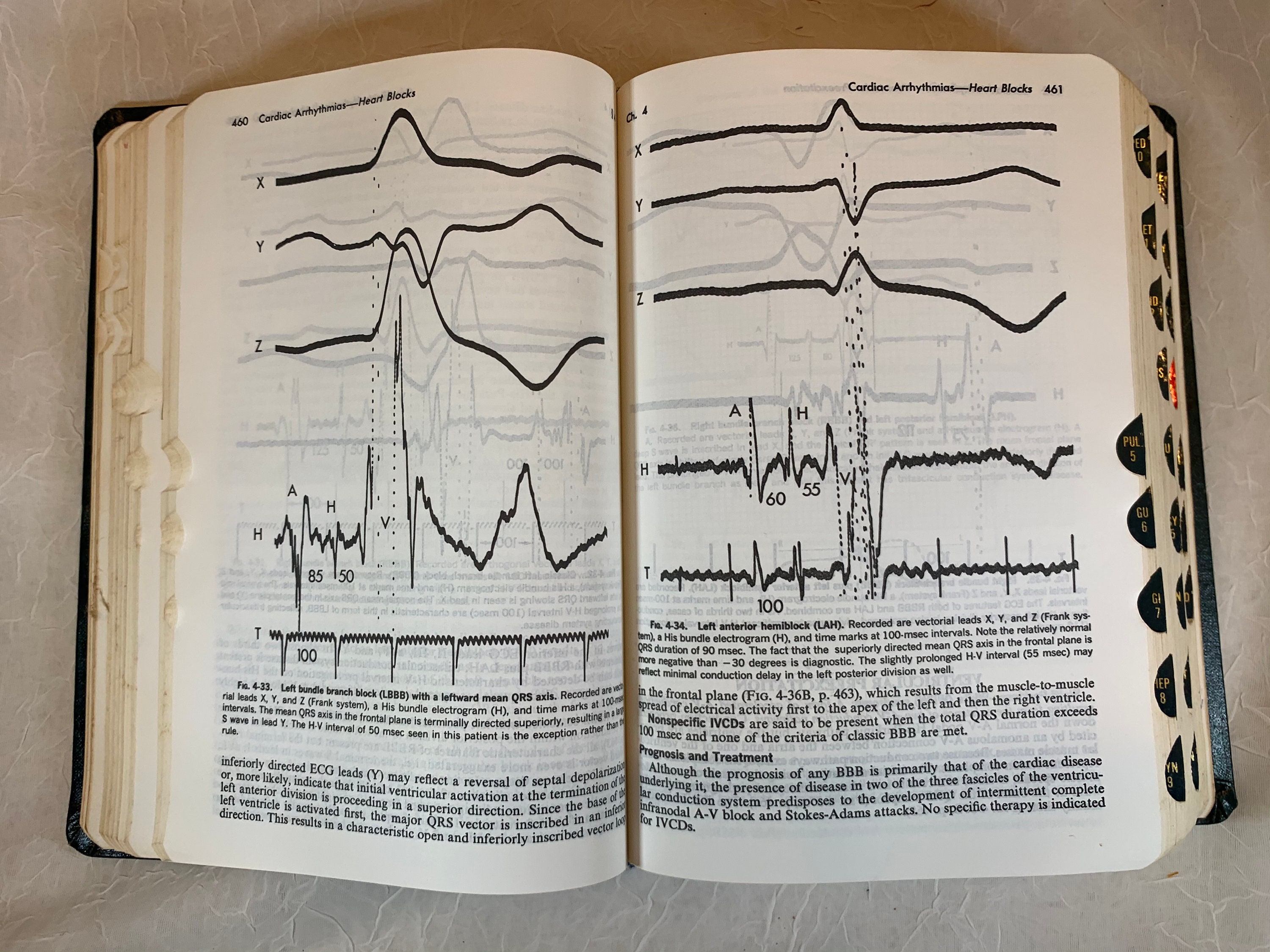 The Merck Manual of Diagnosis and Therapy Thirteenth Etsy