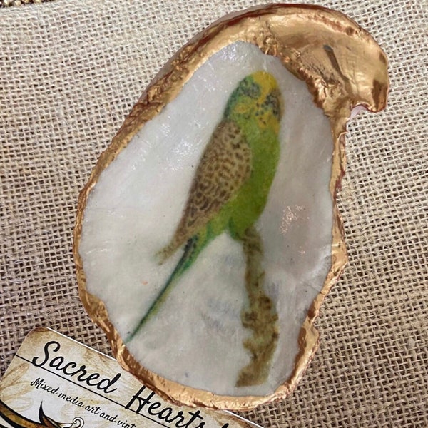 Green parakeet oyster shell decoupage trinket dish