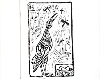 Bird and Bugs