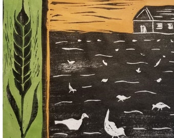 Field Birds