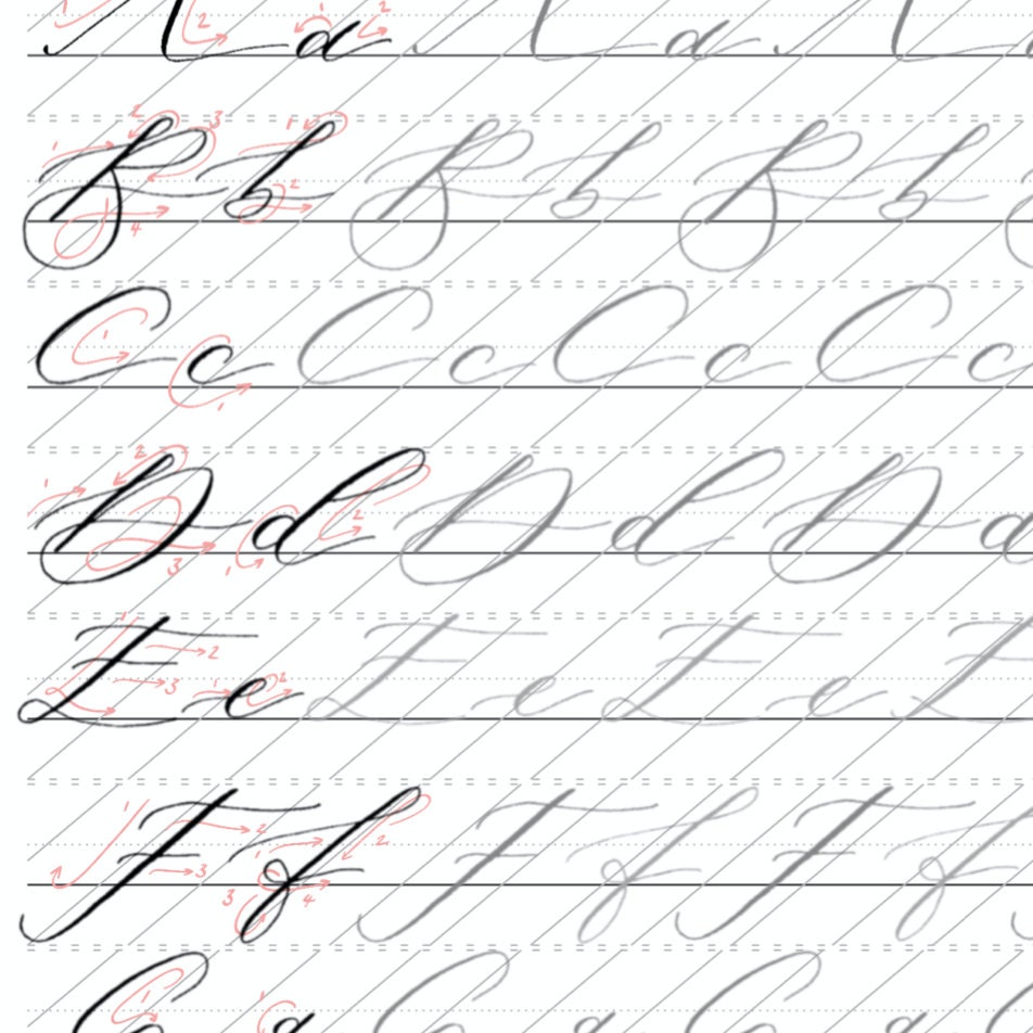 Learn Calligraphy: The Basics — ECLetters