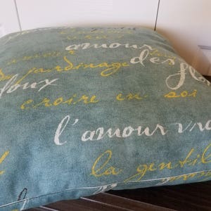 May include: Square decorative pillow with a teal background and French script in white and yellow. The pillow is made of a soft fabric and has a stitched edge. The pillow is placed on a dark wooden surface.