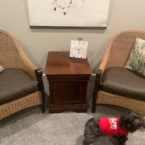 Pier One Wicker Chair Cushion Replacements Etsy