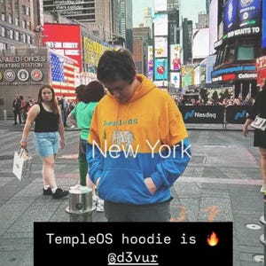 Cut&sew Templeos Realistic Elephant Hoodie V2 - Etsy