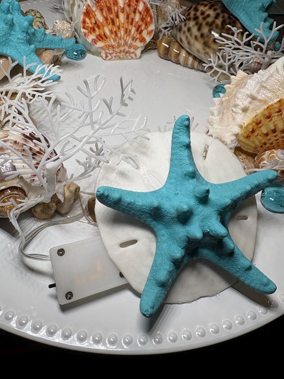 PRICE DROP! Aqua-white LANTERN Beach Centerpiece W/driftwood