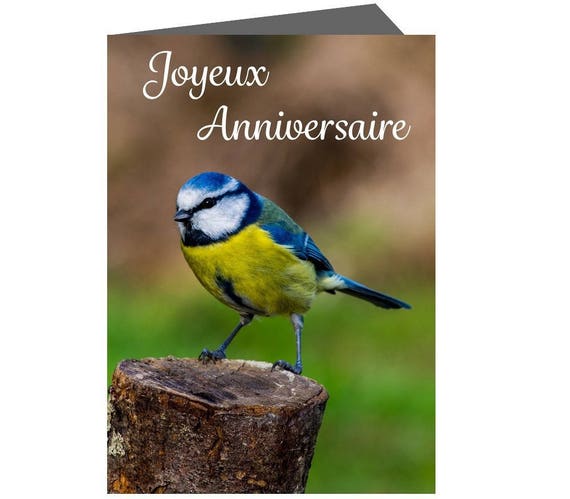 Carte Anniversaire Photographie La Mesange Etsy