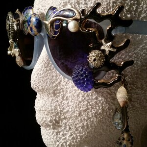 Blue Dolphins Festival Brille
