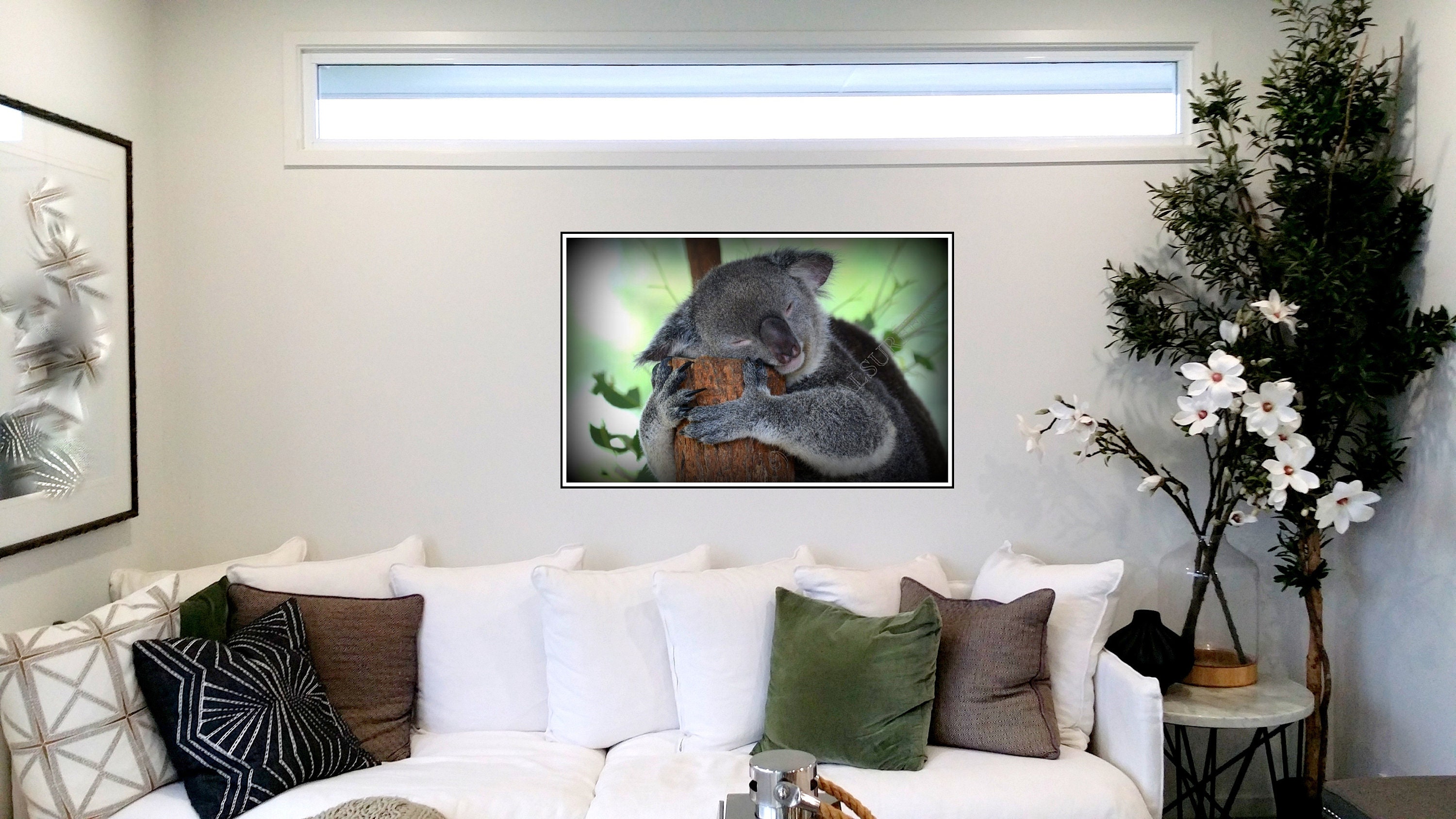 Digital Download Image - Sleeping Koala at Australia Zoo - Sunshine ...