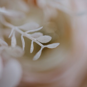 Delicate White and Pink Flowers Photography Print *DIGITAL DOWNLOAD*